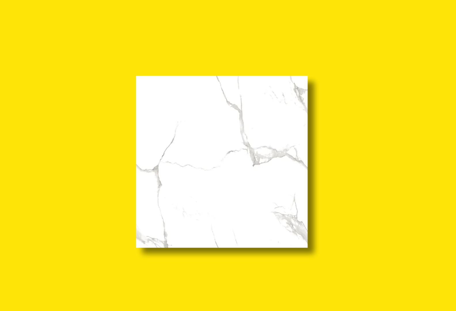 Tile Porcelain White MRP66003Z